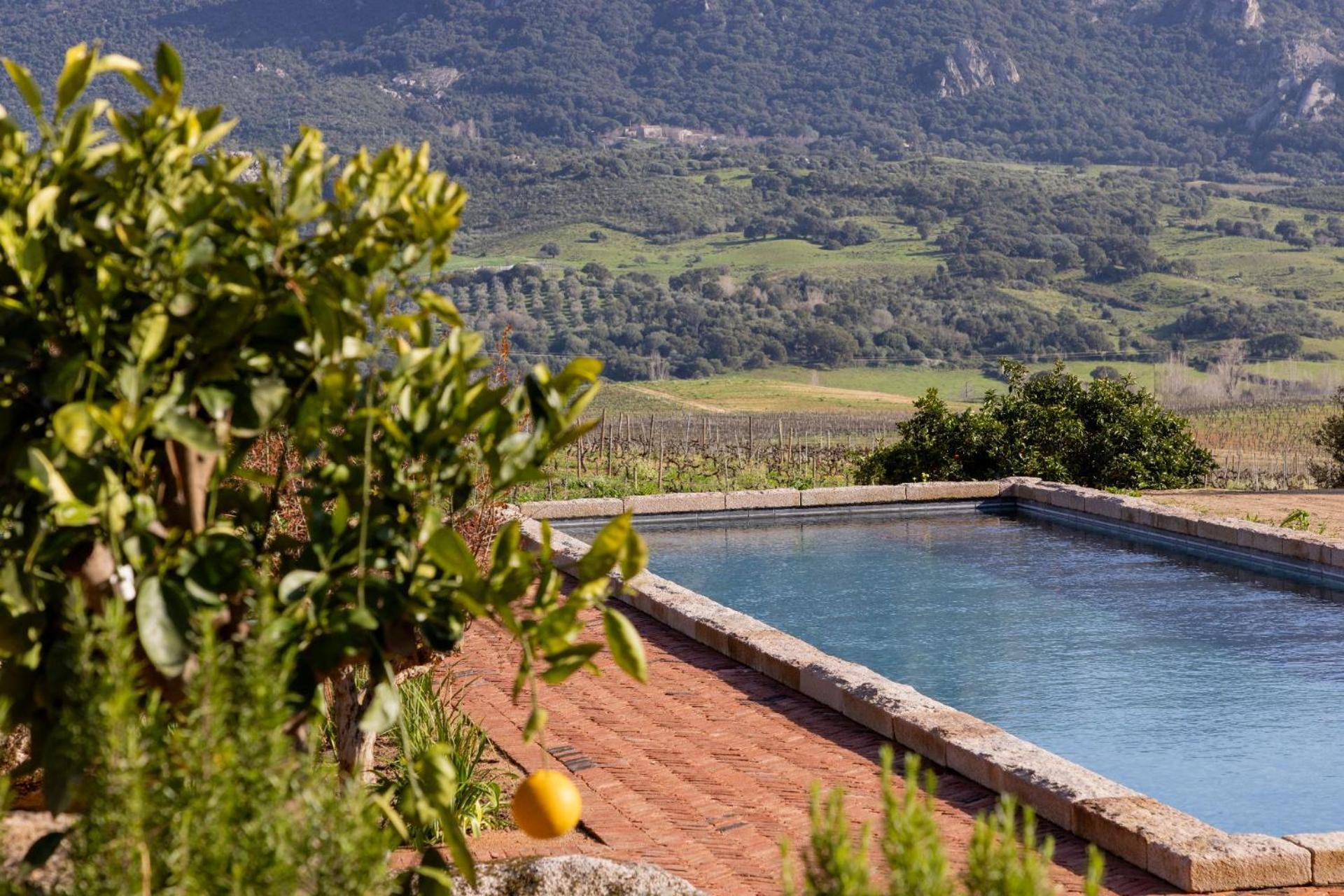 Le Hameau De Saparale Sartène Kültér fotó
